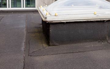 disadvantages of Amitabha Buddhist Centre flat roofs